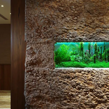 Yusense Hotel-3