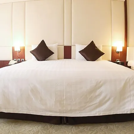 Taipei City Hotel-3
